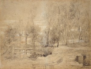 Scène boisée, début du XVIIe siècle - Peter Paul Rubens