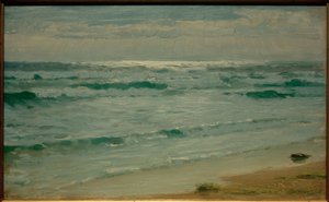 Marine. Skagen