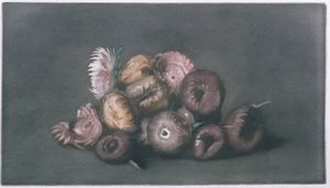 Nature morte de fleurs séchées - Peter Vilhelm Ilsted