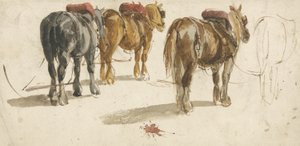 Trois chevaux de trait en harnais, vue de dos - Peter de (attr.) Wint