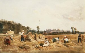 Champ de Blé, Windsor - Peter de Wint