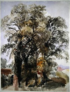Arbres avec bâtiments de ferme au loin