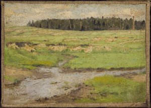 Paysage en été