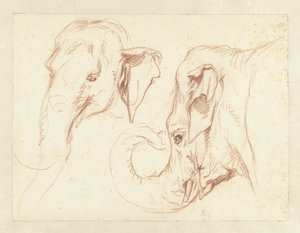Deux esquisses de la tête d