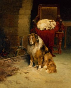 Compagnons au coin du feu
