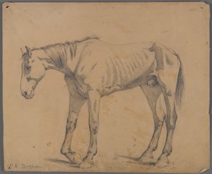 Cheval