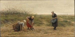 Femmes de Scheveningen vérifiant un champ de pommes de terre récolté