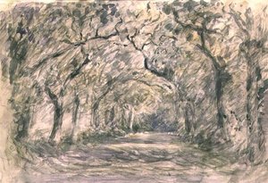 Avenue des Chênes, Knaresborough