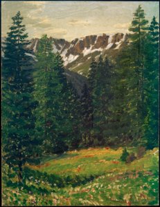 Paysage forestier - Philipp Bauknecht