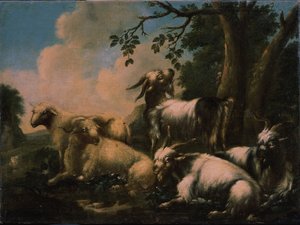 Repos du troupeau