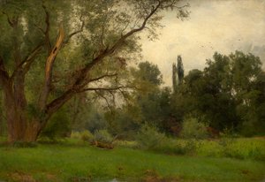 Dans le parc de Kleinheubach sur le Main - Philipp Röth