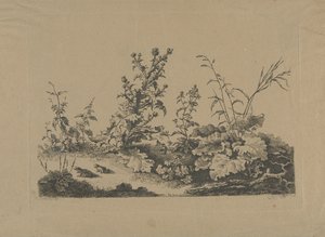 Étude de paysage avec chardons et grenouilles - Philippe Cardon