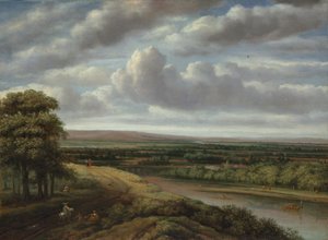 Paysage Boisé Étendu