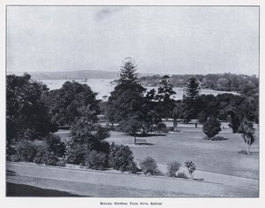 Jardins botaniques, Farm Cove, Sydney - Photographer Australian