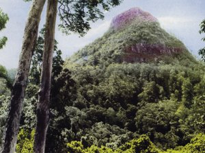 Queensland, Australie : Mont Cordeaux