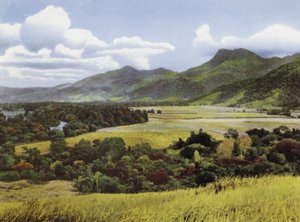 Queensland, Australie : Terres à sucre à Mossman