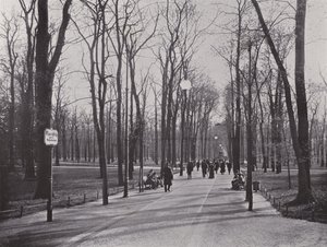 Dans le Tiergarten, Ahornsteig