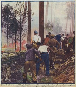 Paysans et soldats combattant un incendie de forêt dans la Forêt-Noire, Allemagne - Photographer German