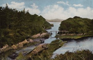 Irlande du Sud : Parknasilla, Comté de Kerry