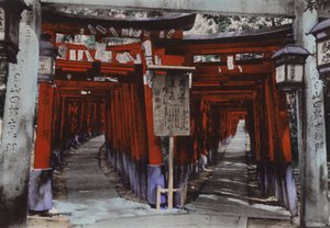 Japon, vers 1912 : Avenues de Torii, Sanctuaire de Fushimi près de Kyoto (photo)