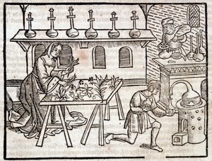 Médecine par les plantes et leurs vertus - dans « Des profits champêtres et ruraux » par Pierre de Crescent, Paris
