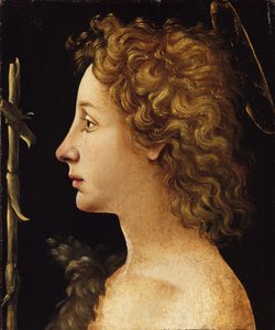 Le jeune Saint Jean-Baptiste - Piero di Cosimo