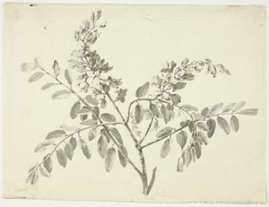 La branche fleurie