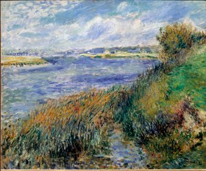 Rives de la Seine à Champrosay