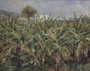 Champ de bananiers, 1881