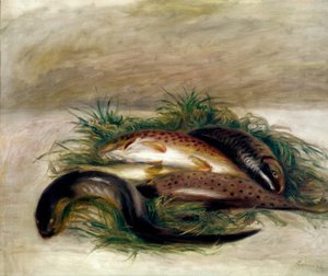 Nature morte aux poissons