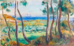 Pins près de Cagnes, vers 1910
