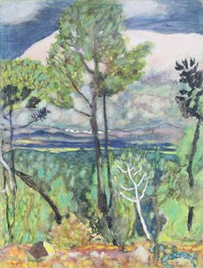 Paysage