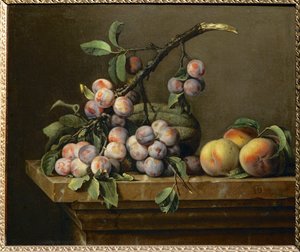 Prunes, courges et peches sur un entablement de marbre …