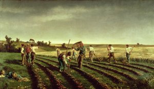 Récolte de sainfoin à Chambaudouin, 1882
