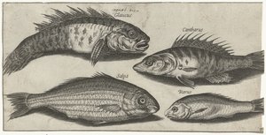 Poisson - Pierre Firens