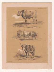 Trois études de bœufs et de charrette à bœufs (Études d