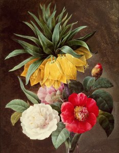 Fleurs exotiques