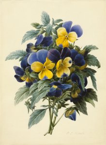 Pensées