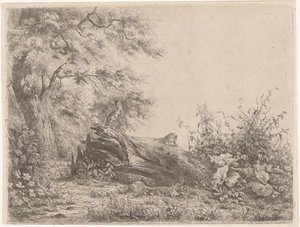 Arbre tombé au bord de la forêt - Pierre Louis Dubourcq