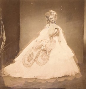 La Bisi. Boudoir, robe en velours gris, moire rose, fleurs roses, feuilles grises de sa mai - Pierre Louis Pierson