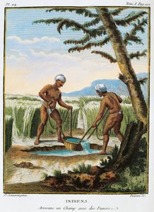 Inde, indigènes irriguant les champs, du Voyage aux Indes et en Chine par Pierre Sonnerat