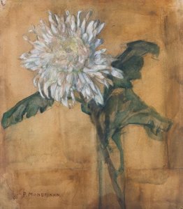 Chrysanthème - Piet Mondrian