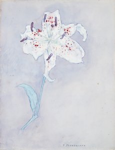 Lys, c.1920-25
