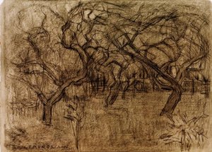Verger - Piet Mondrian