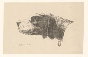 Tête de chien avec collier