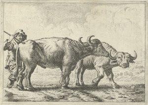 Deux buffles et un berger (Verschillende dieren) - Pieter Bodding van Laer