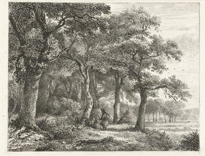 Paysage forestier avec homme au sac à dos