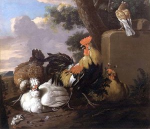 Oiseaux dans un paysage