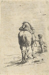 Cheval sellé attaché à un poteau - Pieter Cornelisz. Verbeeck