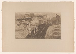 Bœufs labourant - Pieter Dupont (signed by artist)